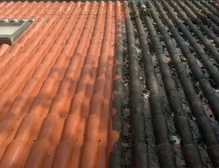 Entreprise de nettoyage de toiture à Arvert